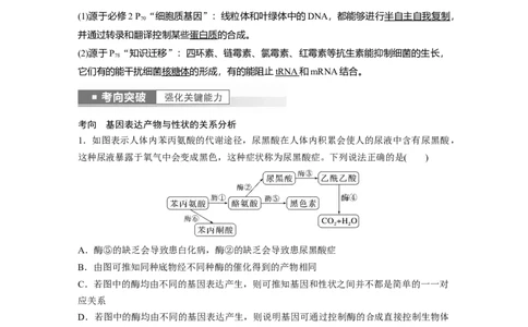 2023年高考生物一轮复习（全国版）第6单元第5课时　基因表达与性状的关系_通用版（老高考）复习资料_2023年复习资料_一轮复习_2023年高考生物一轮复习讲义+课件（全国版）