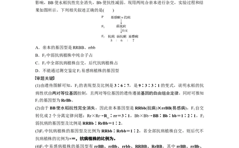2022年高考生物一轮复习第5单元第15讲　热点题型四　自由组合定律中的特殊比例和实验探究_新高考复习资料_2022年新高考复习资料_2022年一轮复习最新版