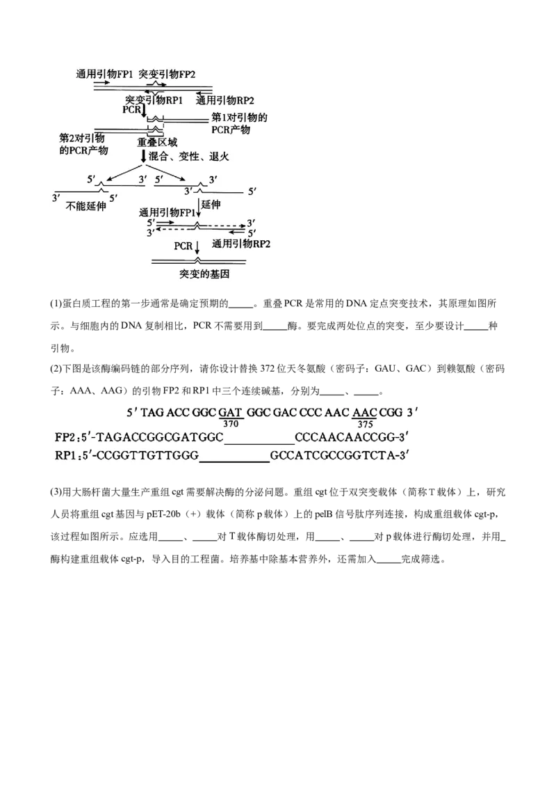 押江苏卷第23题基因工程（原卷版）_2024年新高考资料_5.2024三轮冲刺_备战2024年高考生物临考题号押题（江苏专用）322855714