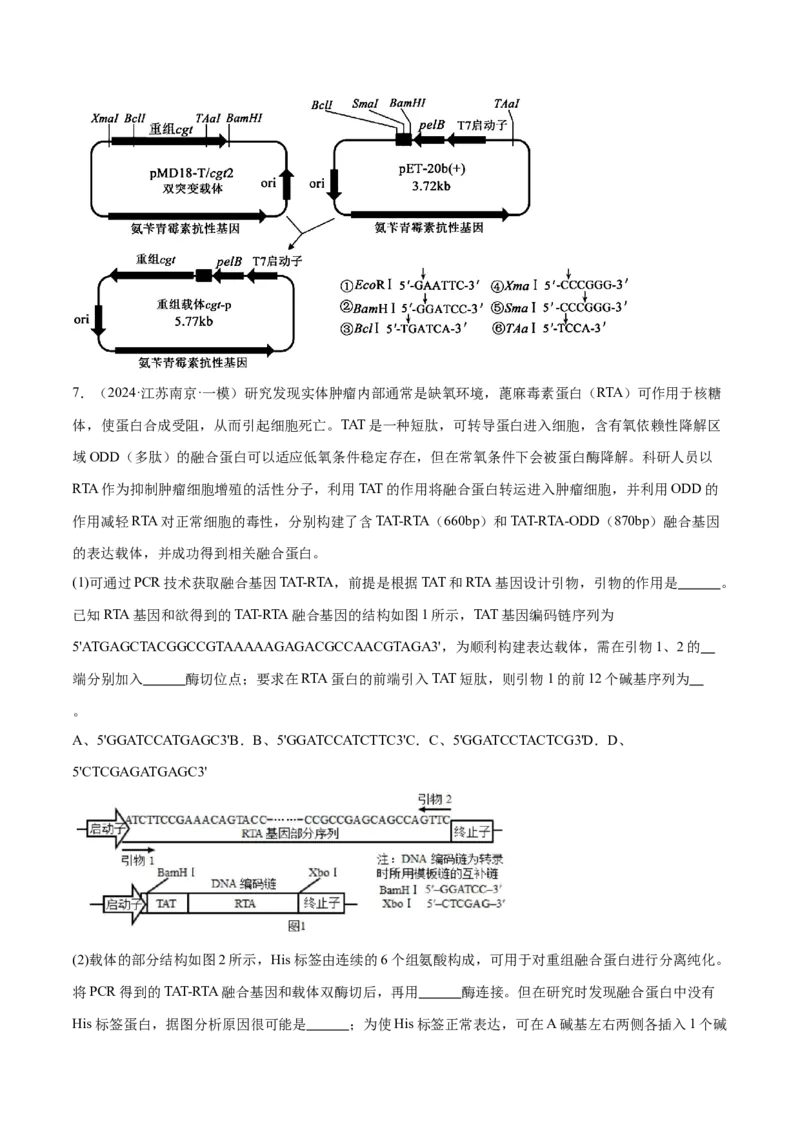押江苏卷第23题基因工程（原卷版）_2024年新高考资料_5.2024三轮冲刺_备战2024年高考生物临考题号押题（江苏专用）322855714