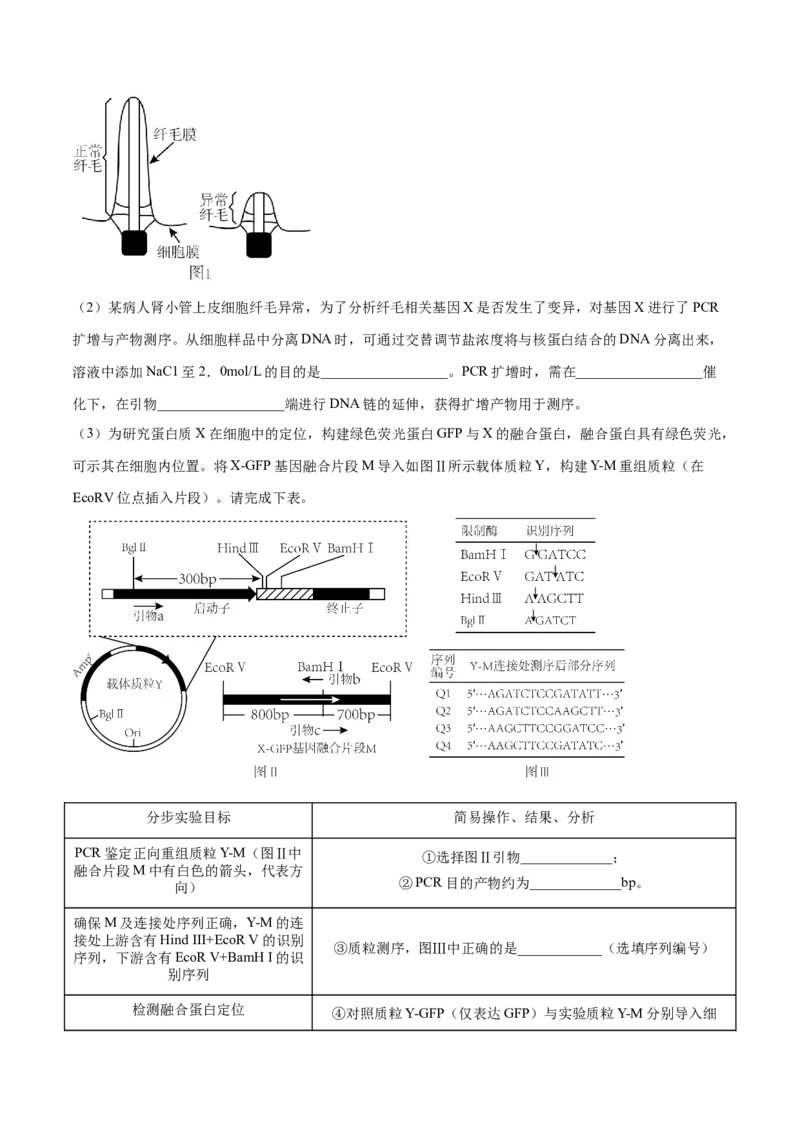 押江苏卷第23题基因工程（原卷版）_2024年新高考资料_5.2024三轮冲刺_备战2024年高考生物临考题号押题（江苏专用）322855714
