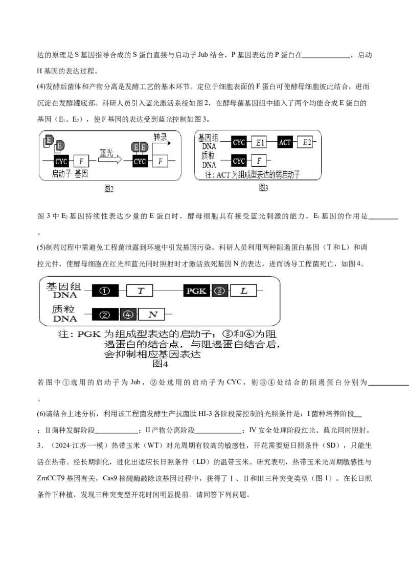 押江苏卷第23题基因工程（原卷版）_2024年新高考资料_5.2024三轮冲刺_备战2024年高考生物临考题号押题（江苏专用）322855714