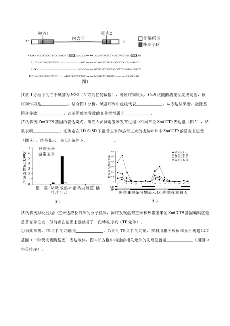 押江苏卷第23题基因工程（原卷版）_2024年新高考资料_5.2024三轮冲刺_备战2024年高考生物临考题号押题（江苏专用）322855714