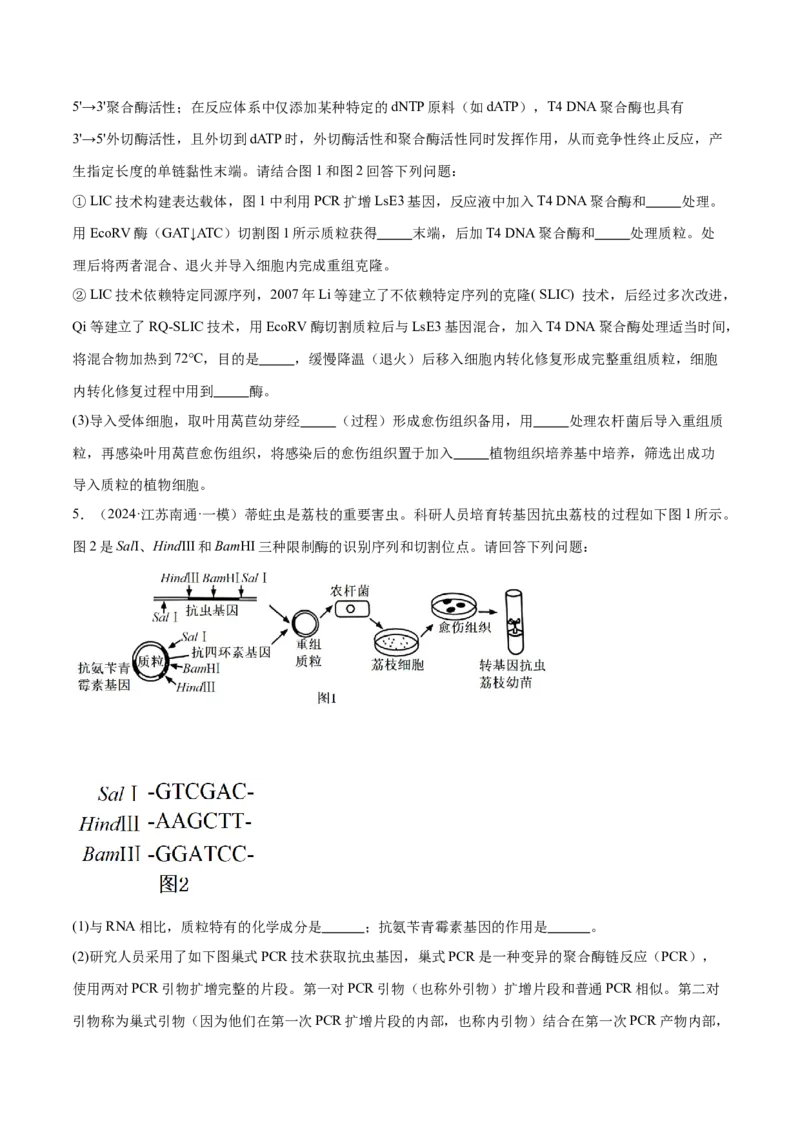 押江苏卷第23题基因工程（原卷版）_2024年新高考资料_5.2024三轮冲刺_备战2024年高考生物临考题号押题（江苏专用）322855714