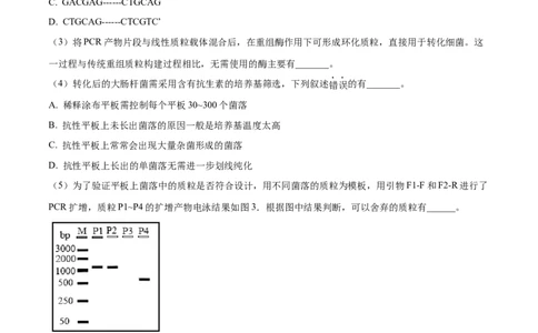 押江苏卷第23题基因工程（原卷版）_2024年新高考资料_5.2024三轮冲刺_备战2024年高考生物临考题号押题（江苏专用）322855714