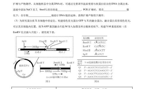 押江苏卷第23题基因工程（原卷版）_2024年新高考资料_5.2024三轮冲刺_备战2024年高考生物临考题号押题（江苏专用）322855714