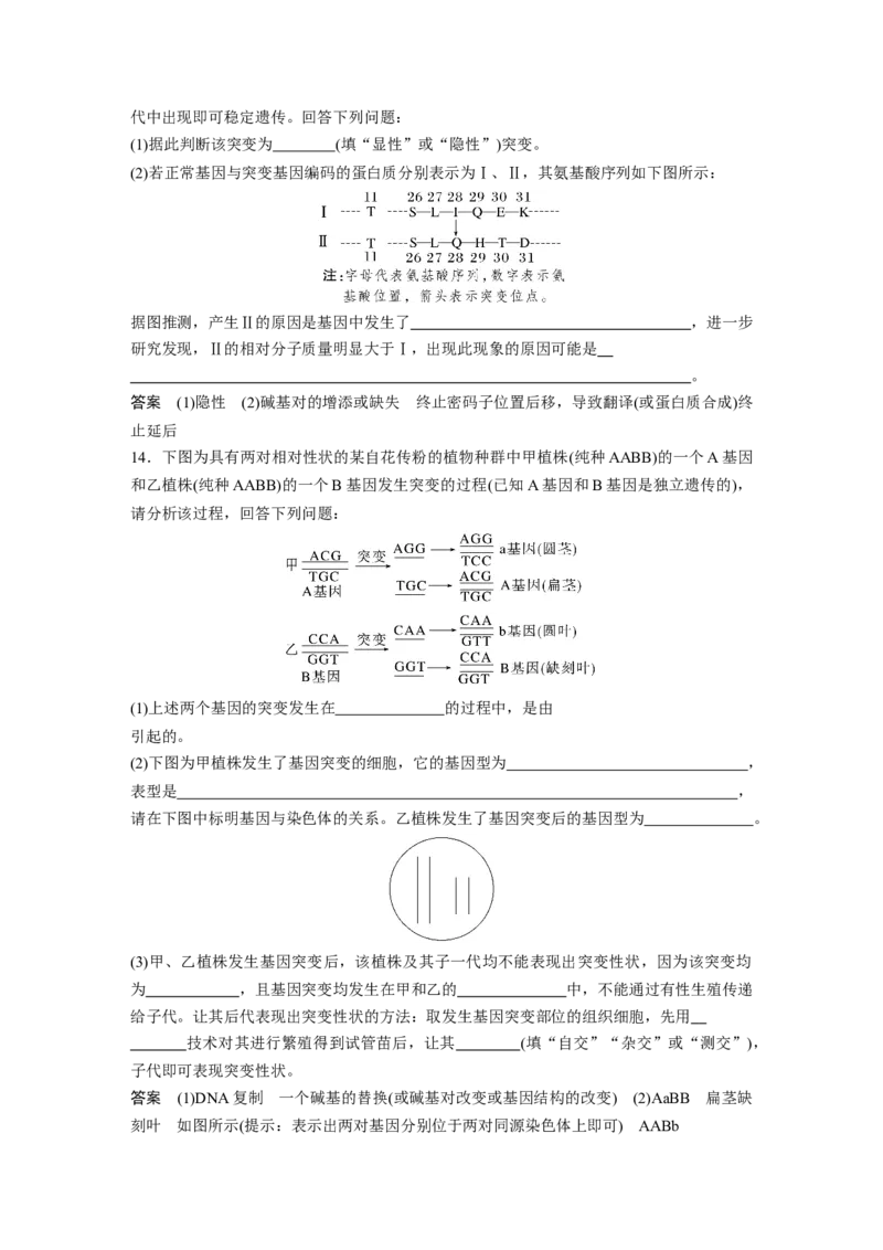 2023年高考生物一轮复习（新人教新高考）第7单元第1课时　基因突变和基因重组_新高考复习资料_2023年新高考复习资料_一轮复习_2023年新高考大一轮复习讲义