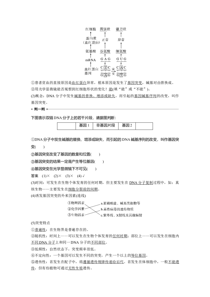 2023年高考生物一轮复习（新人教新高考）第7单元第1课时　基因突变和基因重组_新高考复习资料_2023年新高考复习资料_一轮复习_2023年新高考大一轮复习讲义