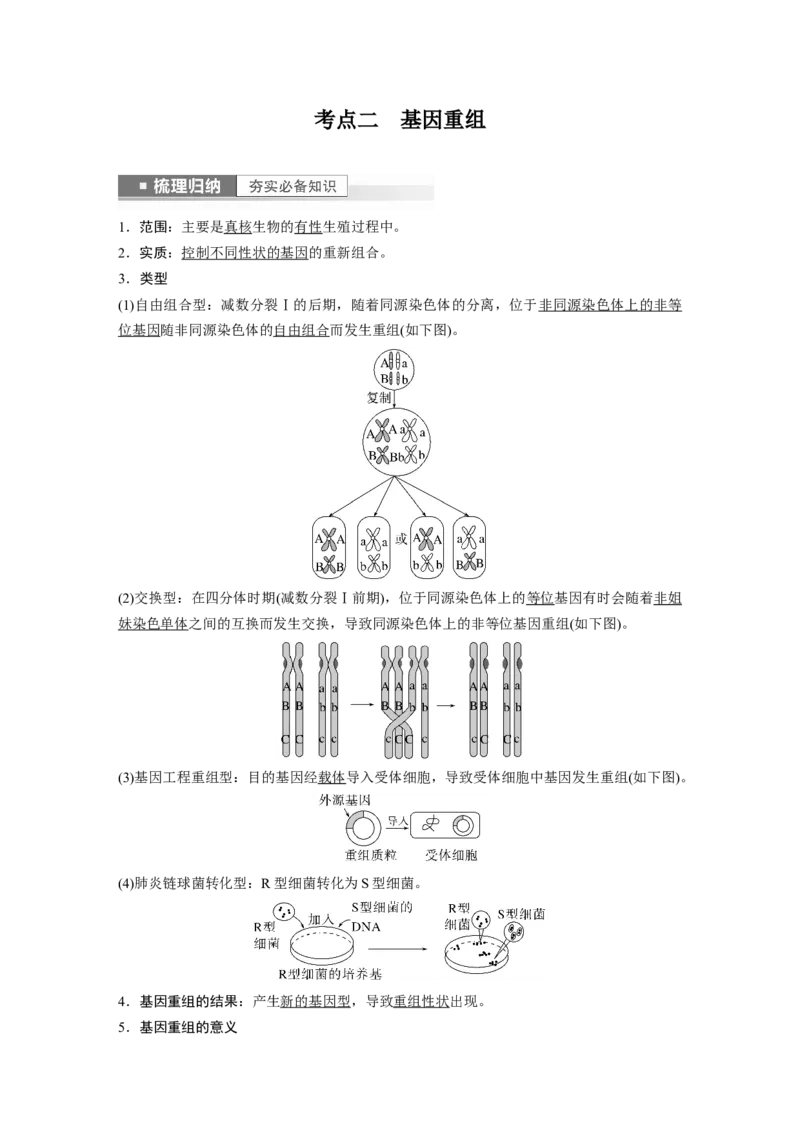 2023年高考生物一轮复习（新人教新高考）第7单元第1课时　基因突变和基因重组_新高考复习资料_2023年新高考复习资料_一轮复习_2023年新高考大一轮复习讲义