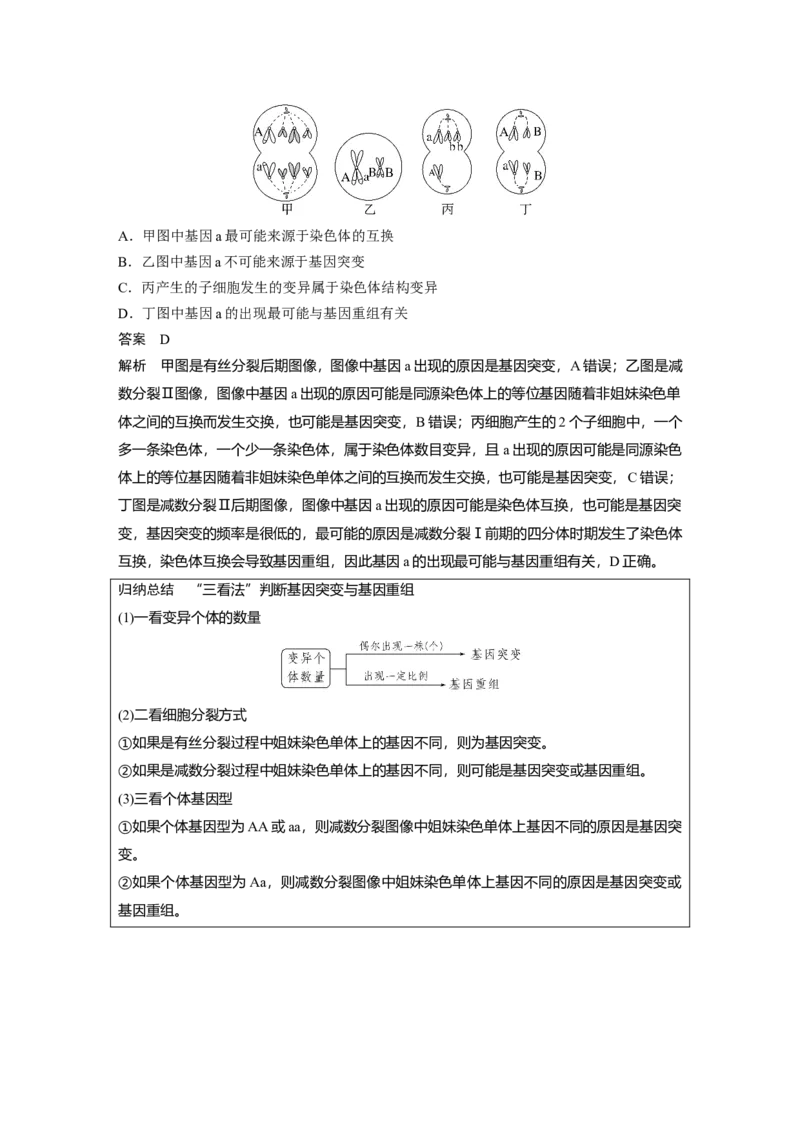 2023年高考生物一轮复习（新人教新高考）第7单元第1课时　基因突变和基因重组_新高考复习资料_2023年新高考复习资料_一轮复习_2023年新高考大一轮复习讲义