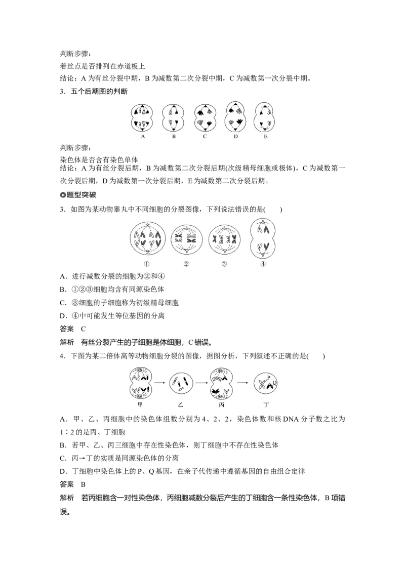2022年高考生物一轮复习第4单元第12讲　减数分裂和受精作用_新高考复习资料_2022年新高考复习资料_2022年一轮复习最新版_1.2022年高考生物一轮复习全国通用版