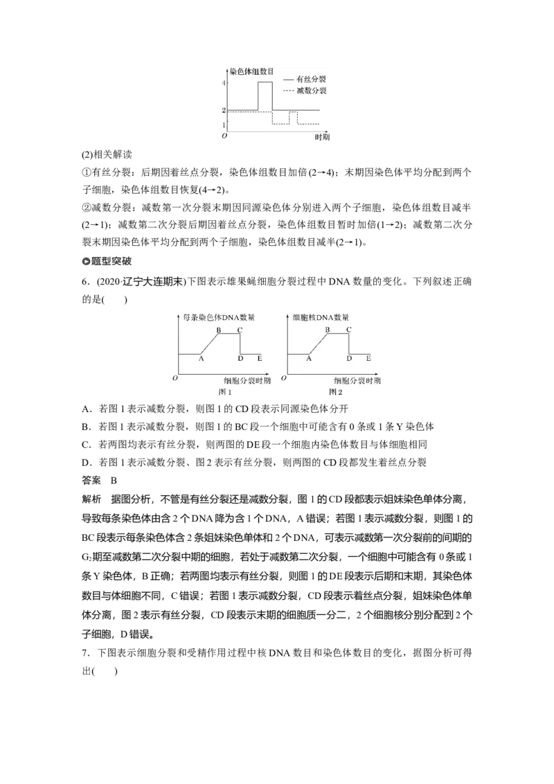 2022年高考生物一轮复习第4单元第12讲　减数分裂和受精作用_新高考复习资料_2022年新高考复习资料_2022年一轮复习最新版_1.2022年高考生物一轮复习全国通用版