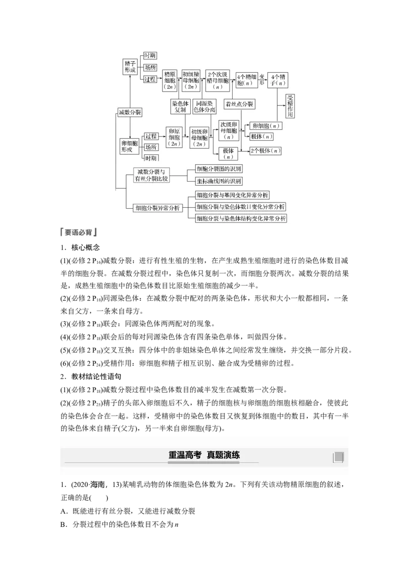 2022年高考生物一轮复习第4单元第12讲　减数分裂和受精作用_新高考复习资料_2022年新高考复习资料_2022年一轮复习最新版_1.2022年高考生物一轮复习全国通用版