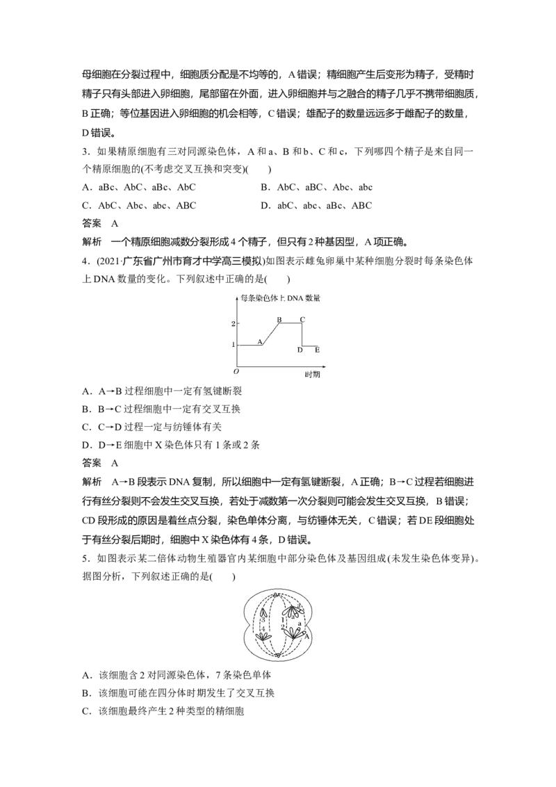 2022年高考生物一轮复习第4单元第12讲　减数分裂和受精作用_新高考复习资料_2022年新高考复习资料_2022年一轮复习最新版_1.2022年高考生物一轮复习全国通用版