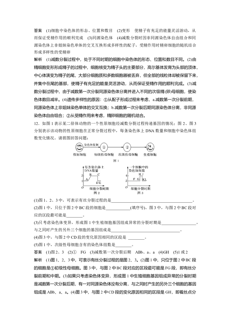 2022年高考生物一轮复习第4单元第12讲　减数分裂和受精作用_新高考复习资料_2022年新高考复习资料_2022年一轮复习最新版_1.2022年高考生物一轮复习全国通用版