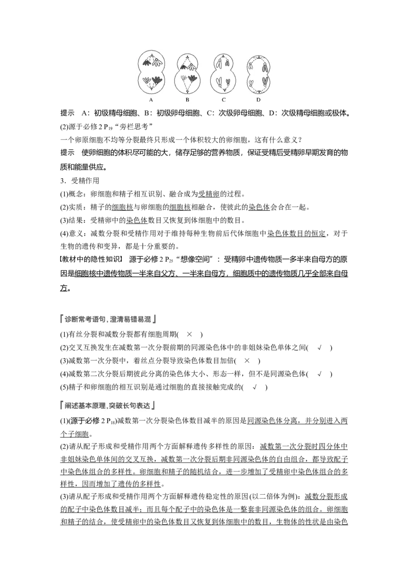 2022年高考生物一轮复习第4单元第12讲　减数分裂和受精作用_新高考复习资料_2022年新高考复习资料_2022年一轮复习最新版_1.2022年高考生物一轮复习全国通用版