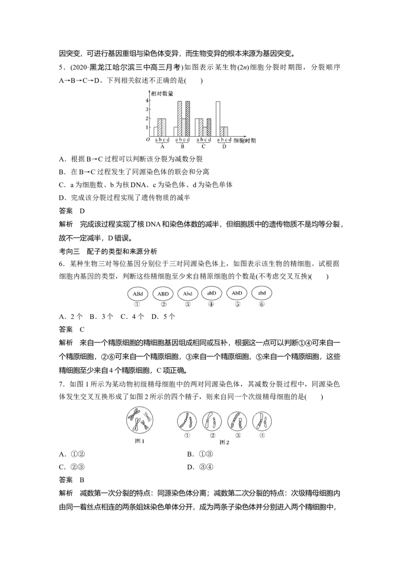 2022年高考生物一轮复习第4单元第12讲　减数分裂和受精作用_新高考复习资料_2022年新高考复习资料_2022年一轮复习最新版_1.2022年高考生物一轮复习全国通用版