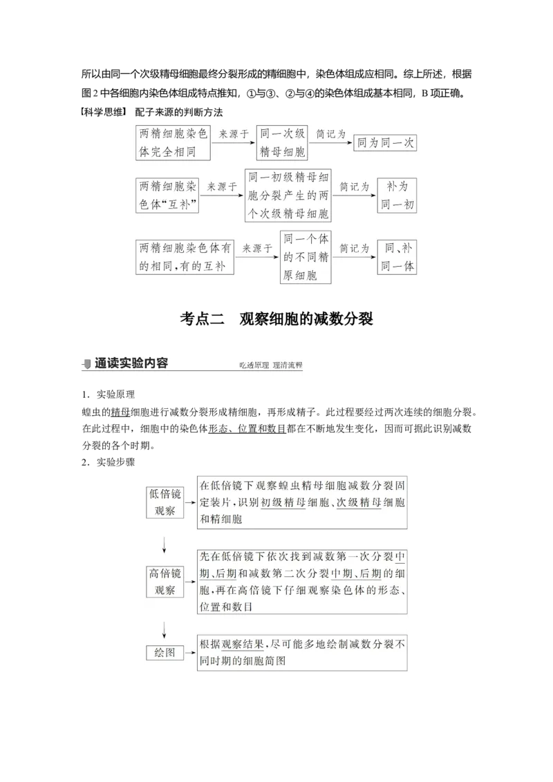 2022年高考生物一轮复习第4单元第12讲　减数分裂和受精作用_新高考复习资料_2022年新高考复习资料_2022年一轮复习最新版_1.2022年高考生物一轮复习全国通用版