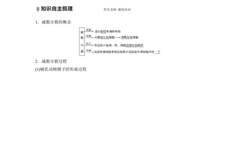 2022年高考生物一轮复习第4单元第12讲　减数分裂和受精作用_新高考复习资料_2022年新高考复习资料_2022年一轮复习最新版_1.2022年高考生物一轮复习全国通用版