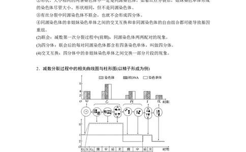 2022年高考生物一轮复习第4单元第12讲　减数分裂和受精作用_新高考复习资料_2022年新高考复习资料_2022年一轮复习最新版_1.2022年高考生物一轮复习全国通用版
