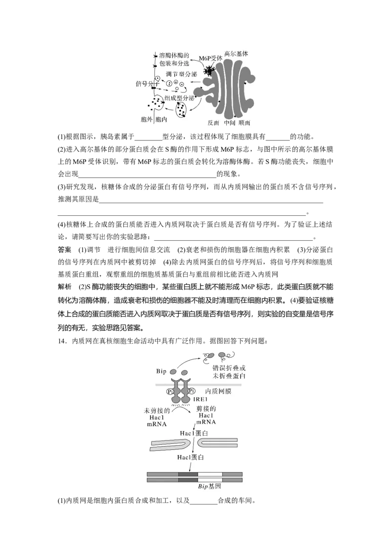 2023年高考生物一轮复习（全国版）第2单元第3课时　细胞器之间的协调配合_通用版（老高考）复习资料_2023年复习资料_一轮复习_2023年高考生物一轮复习讲义+课件（全国版）