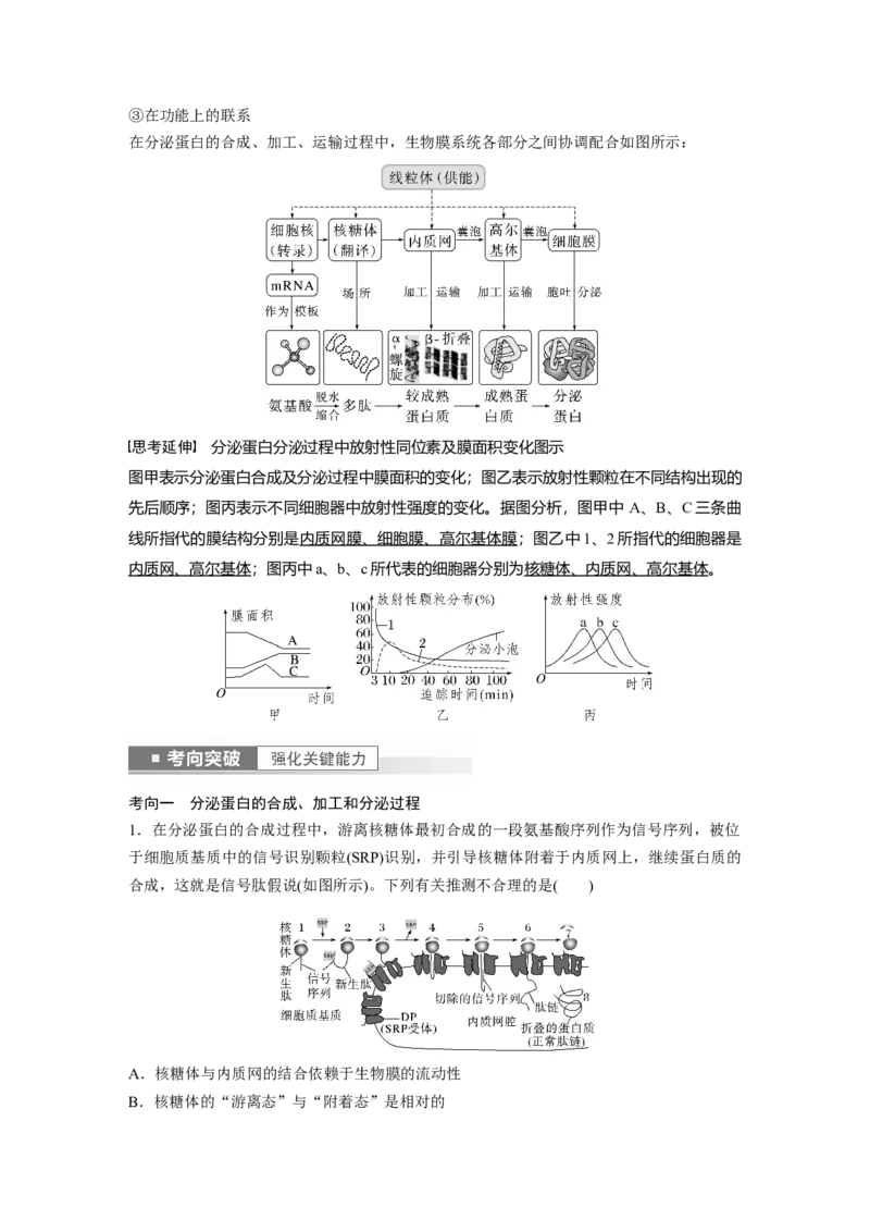 2023年高考生物一轮复习（全国版）第2单元第3课时　细胞器之间的协调配合_通用版（老高考）复习资料_2023年复习资料_一轮复习_2023年高考生物一轮复习讲义+课件（全国版）