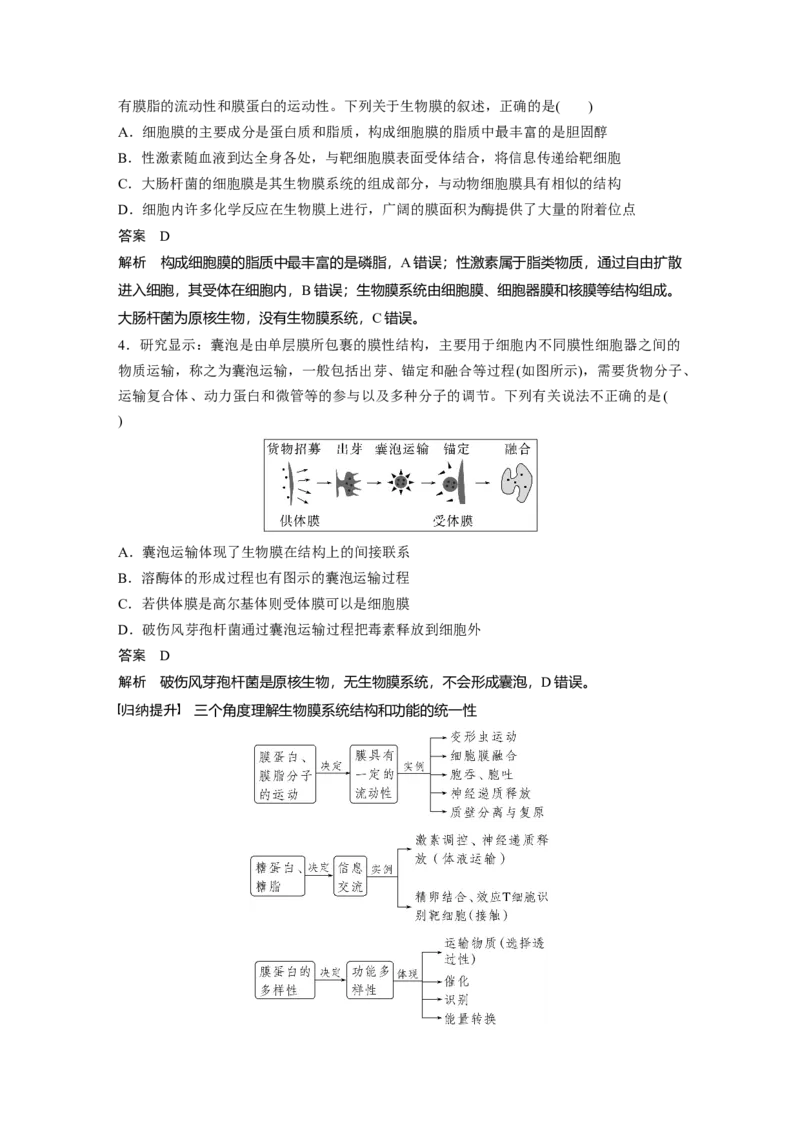 2023年高考生物一轮复习（全国版）第2单元第3课时　细胞器之间的协调配合_通用版（老高考）复习资料_2023年复习资料_一轮复习_2023年高考生物一轮复习讲义+课件（全国版）
