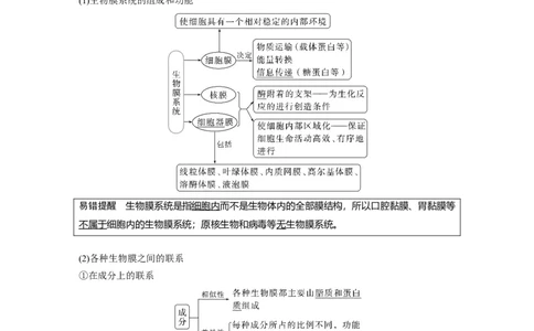2023年高考生物一轮复习（全国版）第2单元第3课时　细胞器之间的协调配合_通用版（老高考）复习资料_2023年复习资料_一轮复习_2023年高考生物一轮复习讲义+课件（全国版）
