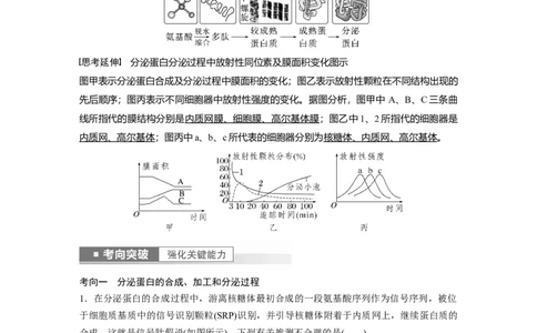 2023年高考生物一轮复习（全国版）第2单元第3课时　细胞器之间的协调配合_通用版（老高考）复习资料_2023年复习资料_一轮复习_2023年高考生物一轮复习讲义+课件（全国版）