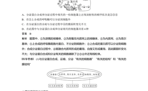 2023年高考生物一轮复习（全国版）第2单元第3课时　细胞器之间的协调配合_通用版（老高考）复习资料_2023年复习资料_一轮复习_2023年高考生物一轮复习讲义+课件（全国版）