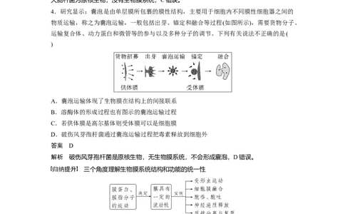 2023年高考生物一轮复习（全国版）第2单元第3课时　细胞器之间的协调配合_通用版（老高考）复习资料_2023年复习资料_一轮复习_2023年高考生物一轮复习讲义+课件（全国版）
