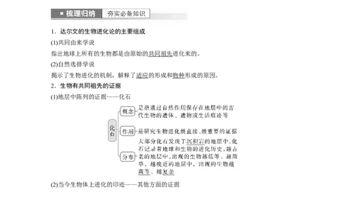 2023年高考生物一轮复习（新人教新高考）第7单元第4课时　生物的进化_新高考复习资料_2023年新高考复习资料_一轮复习_2023年新高考大一轮复习讲义