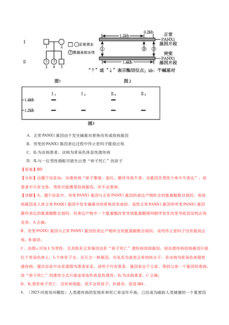 第08讲伴性遗传和人类遗传病（讲义）（解析版）_2024年新高考资料_2.2024二轮复习_2024年高考生物二轮复习讲练测（新教材新高考）