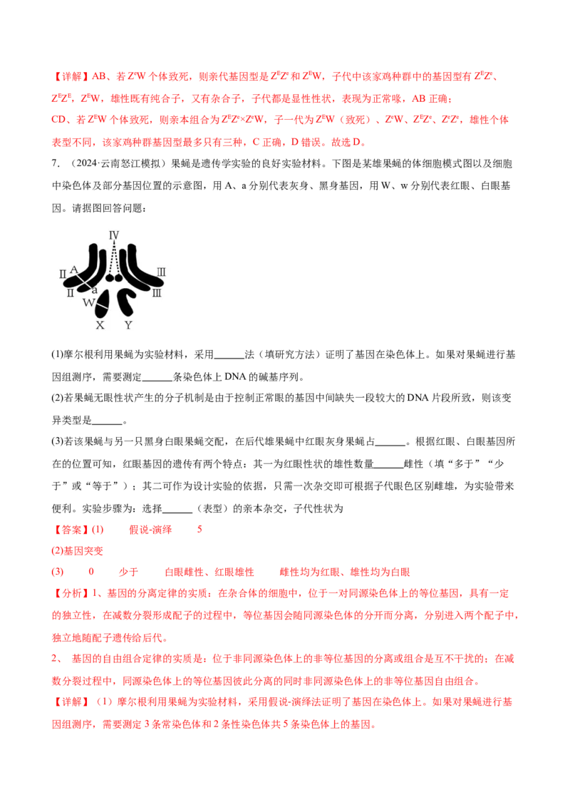 第08讲伴性遗传和人类遗传病（讲义）（解析版）_2024年新高考资料_2.2024二轮复习_2024年高考生物二轮复习讲练测（新教材新高考）