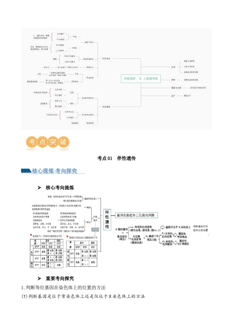 第08讲伴性遗传和人类遗传病（讲义）（解析版）_2024年新高考资料_2.2024二轮复习_2024年高考生物二轮复习讲练测（新教材新高考）
