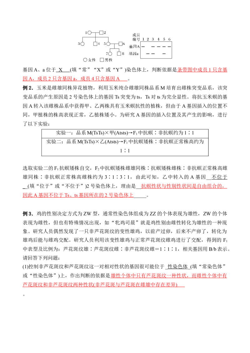 第08讲伴性遗传和人类遗传病（讲义）（解析版）_2024年新高考资料_2.2024二轮复习_2024年高考生物二轮复习讲练测（新教材新高考）