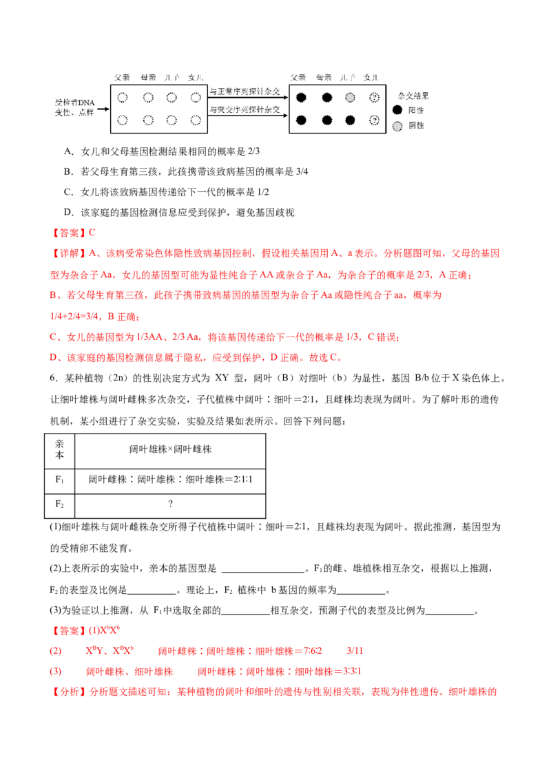 第08讲伴性遗传和人类遗传病（讲义）（解析版）_2024年新高考资料_2.2024二轮复习_2024年高考生物二轮复习讲练测（新教材新高考）