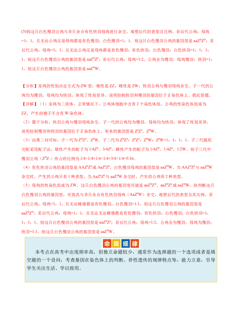 第08讲伴性遗传和人类遗传病（讲义）（解析版）_2024年新高考资料_2.2024二轮复习_2024年高考生物二轮复习讲练测（新教材新高考）