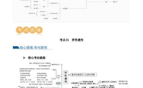 第08讲伴性遗传和人类遗传病（讲义）（解析版）_2024年新高考资料_2.2024二轮复习_2024年高考生物二轮复习讲练测（新教材新高考）