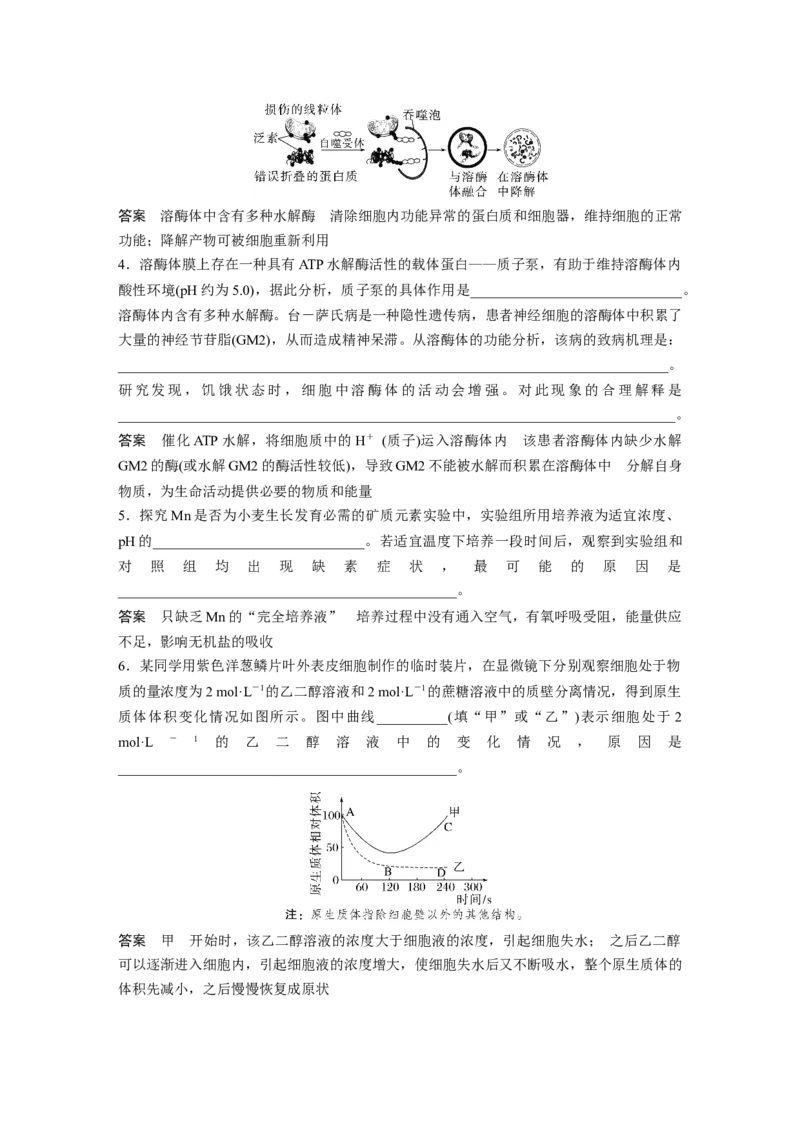 2023年高考生物二轮复习（全国版）第1篇专题突破专题1语言表达(一)　与细胞有关的概念、特点、作用描述_通用版（老高考）复习资料_2023年复习资料_二轮复习