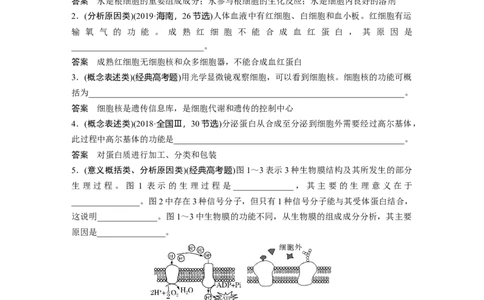 2023年高考生物二轮复习（全国版）第1篇专题突破专题1语言表达(一)　与细胞有关的概念、特点、作用描述_通用版（老高考）复习资料_2023年复习资料_二轮复习