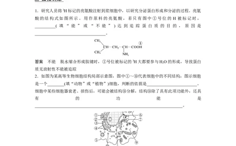 2023年高考生物二轮复习（全国版）第1篇专题突破专题1语言表达(一)　与细胞有关的概念、特点、作用描述_通用版（老高考）复习资料_2023年复习资料_二轮复习