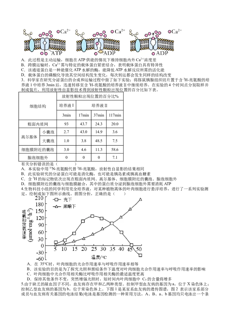 生物-2024年高考考前最后一课_2024年新高考资料_5.2024三轮冲刺_生物（含PDF版，可直接打印）-2024年高考考前最后一课