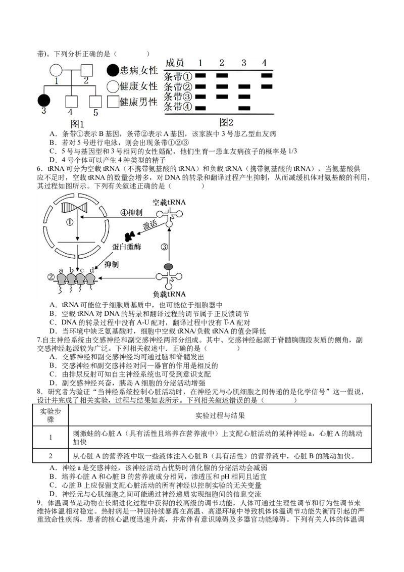 生物-2024年高考考前最后一课_2024年新高考资料_5.2024三轮冲刺_生物（含PDF版，可直接打印）-2024年高考考前最后一课