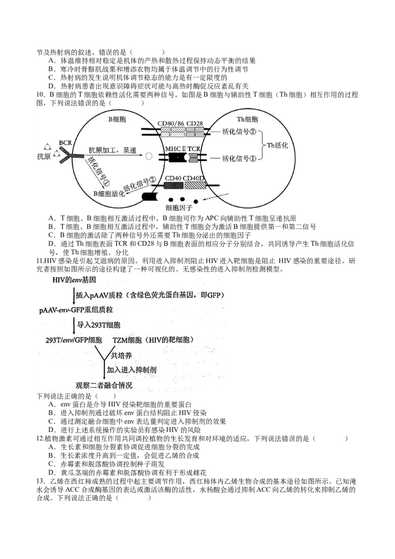 生物-2024年高考考前最后一课_2024年新高考资料_5.2024三轮冲刺_生物（含PDF版，可直接打印）-2024年高考考前最后一课