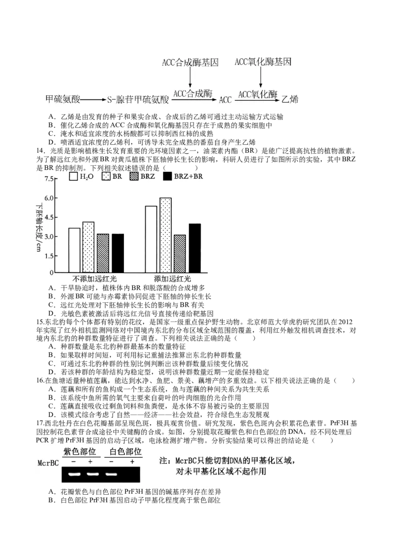 生物-2024年高考考前最后一课_2024年新高考资料_5.2024三轮冲刺_生物（含PDF版，可直接打印）-2024年高考考前最后一课