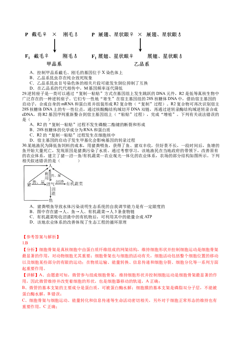 生物-2024年高考考前最后一课_2024年新高考资料_5.2024三轮冲刺_生物（含PDF版，可直接打印）-2024年高考考前最后一课
