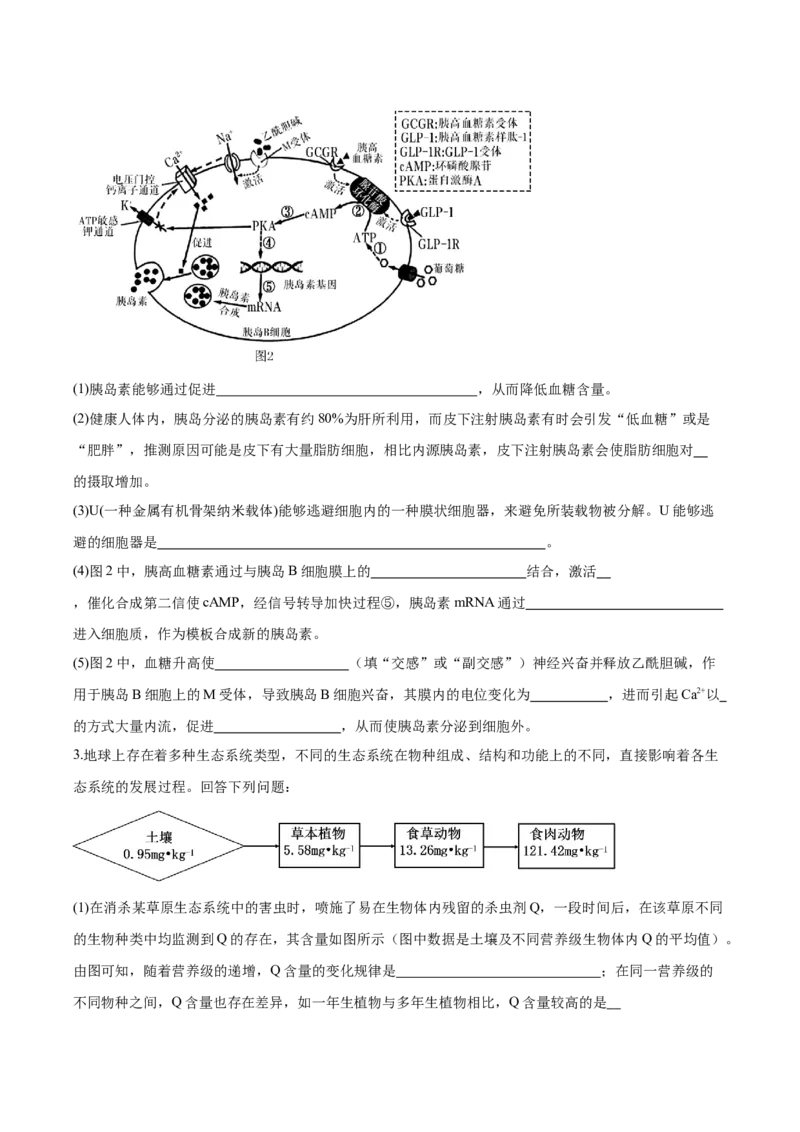 生物-2024年高考考前最后一课_2024年新高考资料_5.2024三轮冲刺_生物（含PDF版，可直接打印）-2024年高考考前最后一课