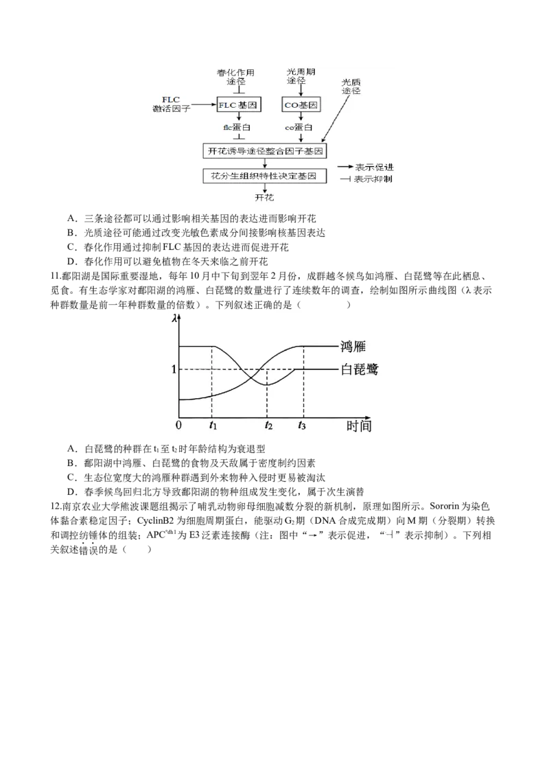 生物-2024年高考考前最后一课_2024年新高考资料_5.2024三轮冲刺_生物（含PDF版，可直接打印）-2024年高考考前最后一课