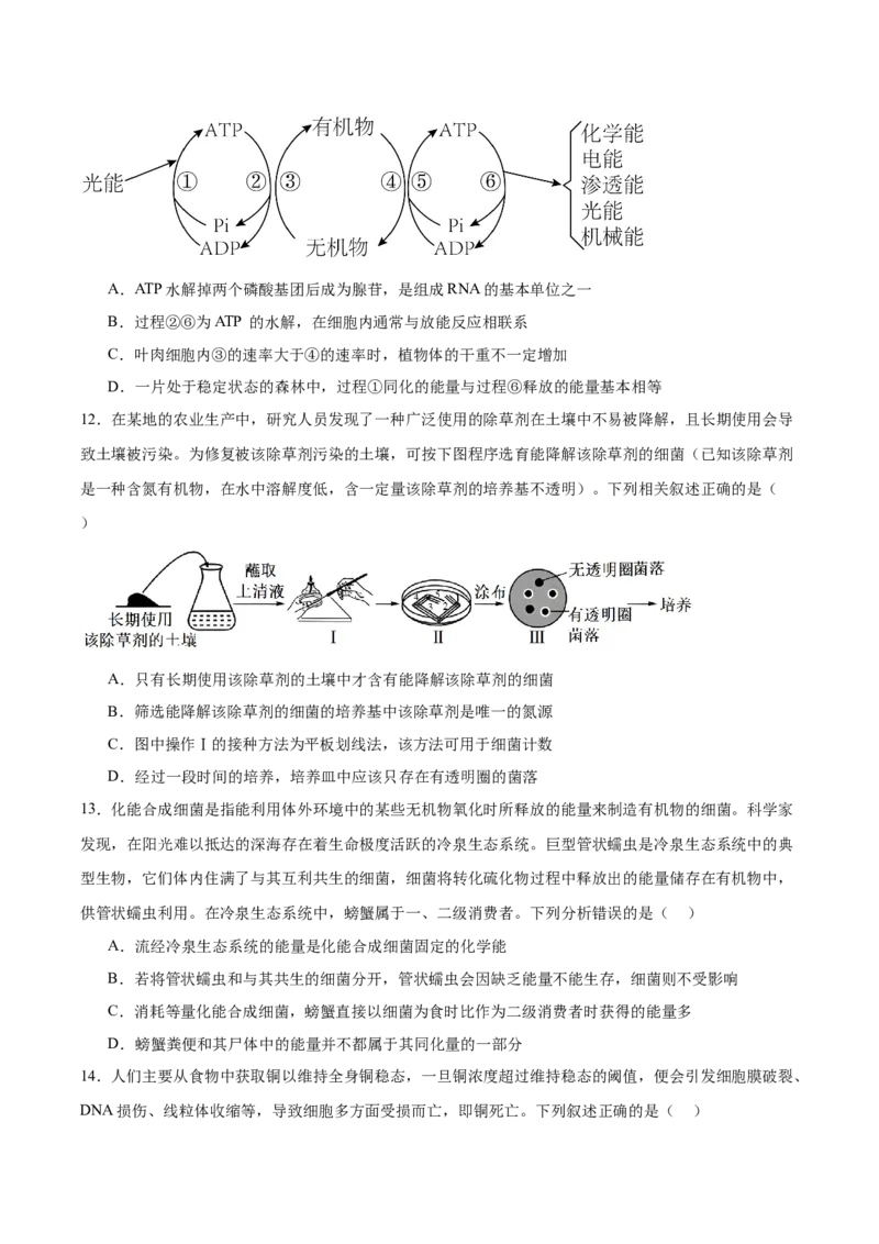 生物-2024年高考考前最后一课_2024年新高考资料_5.2024三轮冲刺_生物（含PDF版，可直接打印）-2024年高考考前最后一课